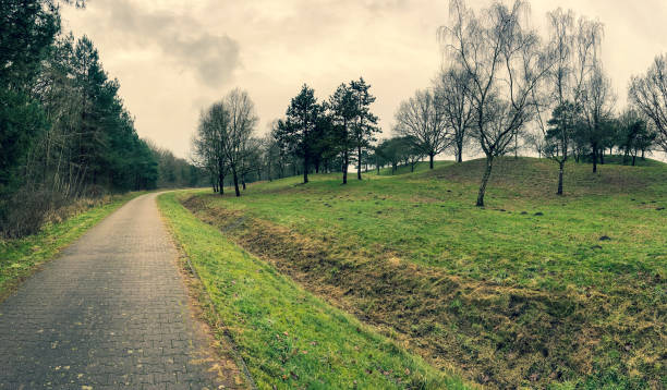 istock A path next to a forest and a meadow in winter in rainy weather. 1371847590