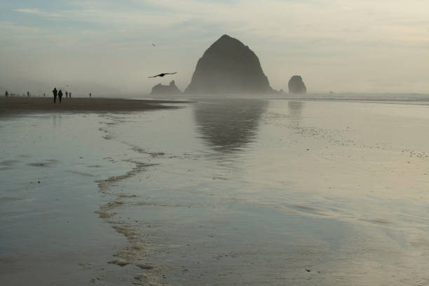 People walking on the beach near Haystack Rock at Cannon Beach, Oregon