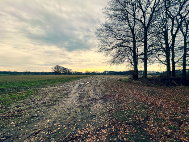istock A field with tracks and some trees in winter. 1371852362