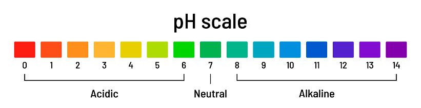 Ph scale chart. Diagram of acid and alkaline solutions on white background. Ph indicator acid-base balance, chemical analysis, vector illustration.