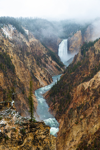 Yellowstone river with Lower Falls and the Grand Canyon of the Yellowstone with snow in autumn, Yellowstone national park, Wyoming, USA.