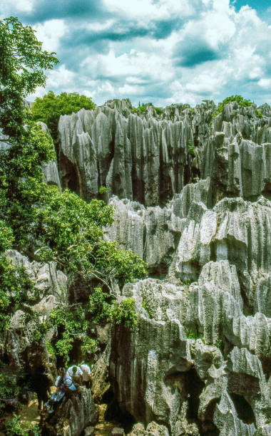 floresta de pedra de shilin, china - the stone forest - fotografias e filmes do acervo