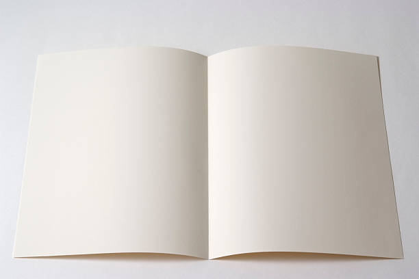 istock Isolated shot of opened white blank brochure on white background 137186757