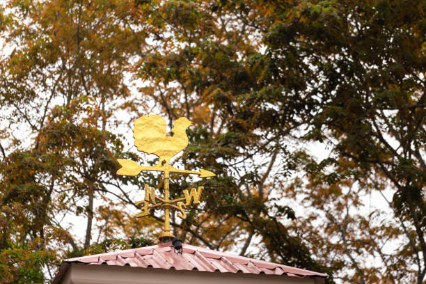 Gold rooster weather vane show the wind direction on white sky background