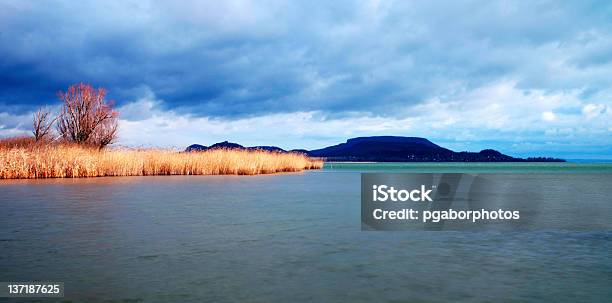 Dia Nublado De Inverno Tempo No Lago Balaton - Fotografias de stock e mais imagens de Acidente Natural - Acidente Natural, Acidentes e Desastres, Amarelo