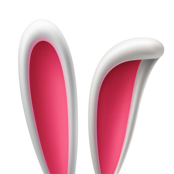3,569 Bunny Ears Illustrations & Clip Art - iStock | Listening, Listening  ear, Ear icon