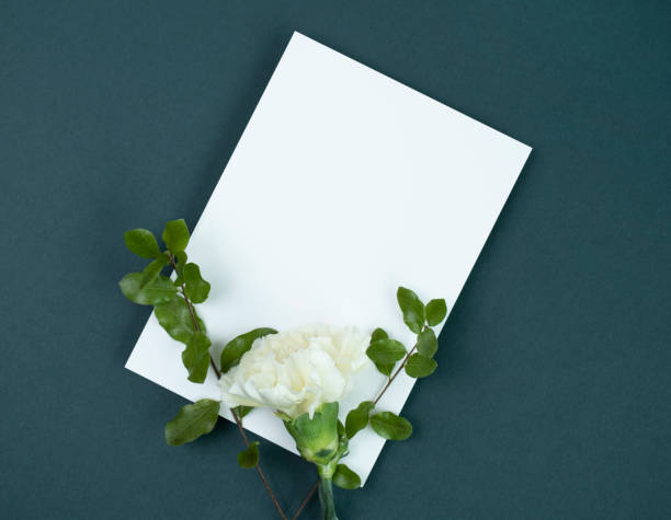 istock Flower and lovely card, Mock-up 1371881409