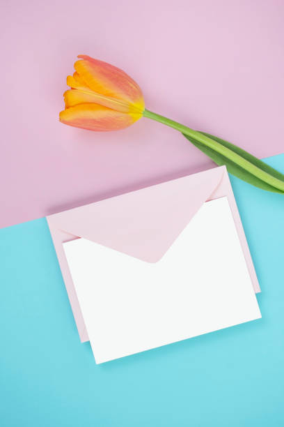 kwiat i piękna karta, makieta - greeting card envelope letter pink zdjęcia i obrazy z banku zdjęć
