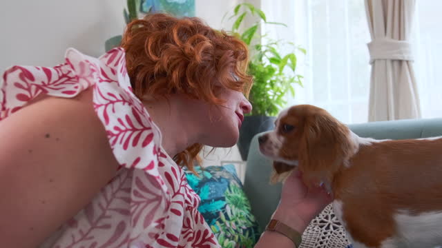 Happy young women  with cavalier King Charles spaniel dog. Dog licking and kissing girl's face. Dog is a woman's best friend and Pet love concept.
