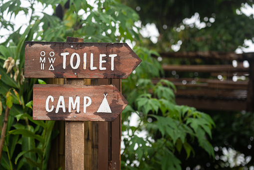 An information wooden board direction sign to toilet and camping site with background of greenery tree leaf. Sign and symbol object photo for travel and leisure place.