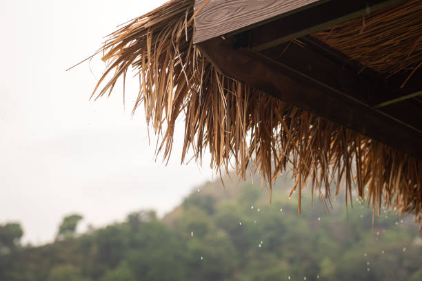 Close-up at hay roof of the hut or cottage during water rain is dropping. Relaxation abstract scene photo Partial focus on the edge of the roof surface.