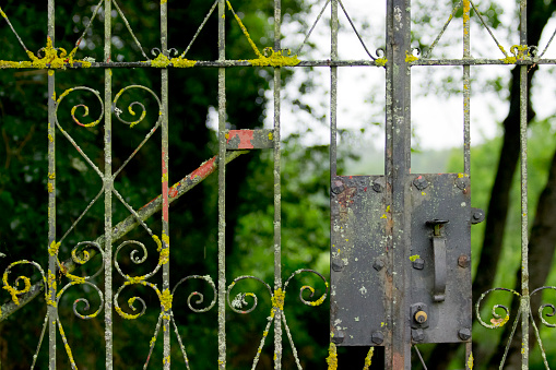 Detail of old, rusty, closed cast iron gate with lock and handle, moss and lichen. Galicia, Spain.