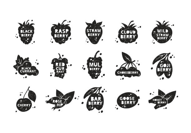 jagody ogrodowe, zestaw naklejek grunge. czarna tekstura sylwetki z napisem wewnątrz. imitacja pieczęci - blackberry fruit mulberry isolated stock illustrations