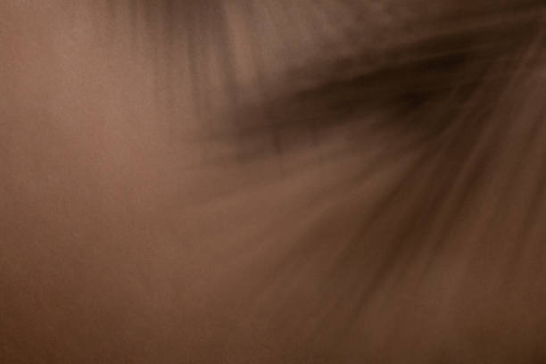 istock Summer tropic wallpaper. Abstract minimal beige brown wall background with palm tree shadow. 1371891018