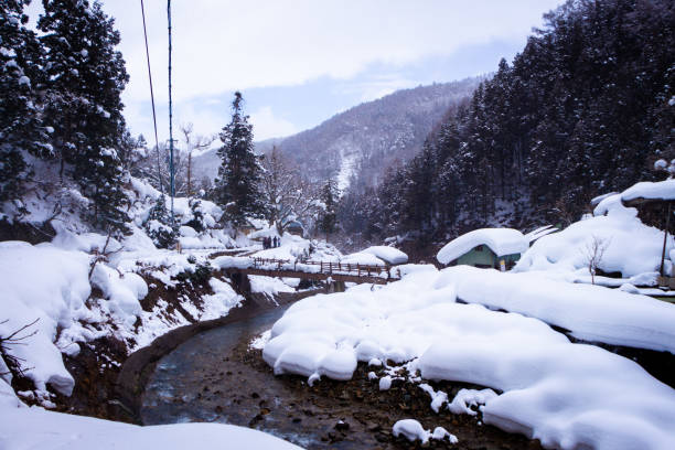 istock Snow Monkeys Soak in Hotsprings 1371892067