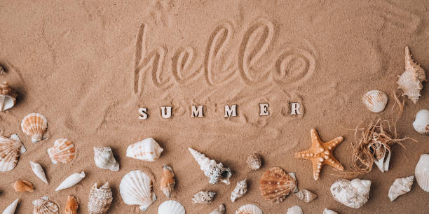 istock Composition with text HELLO SUMMER seashells, pebbles, mockup on sand background. Blank, top view, still life, flat lay. Sea summer vacation travel concept tourism and resorts 1371894761