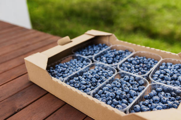 istock Box or crate with collected fresh blueberries. Berries agriculture business 1371895355