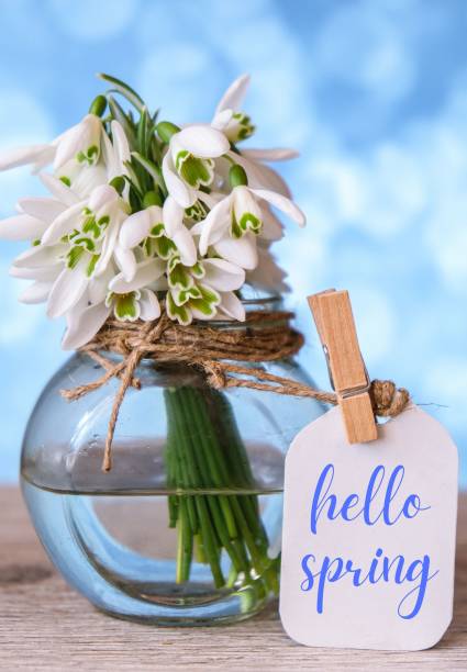 istock Greeting card text HELLO SPRING lettering with snowdrop flowers. Early spring flowers. Springtime. Fresh bouquet 1371896181
