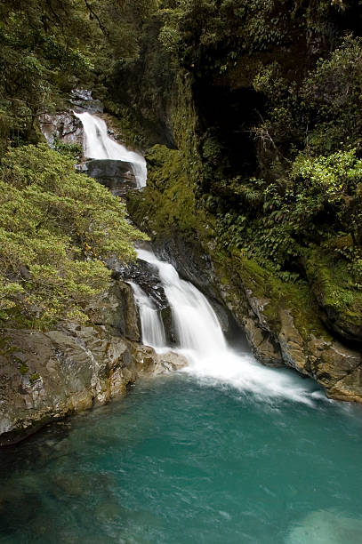 Cachoeira de Kiwi - foto de acervo