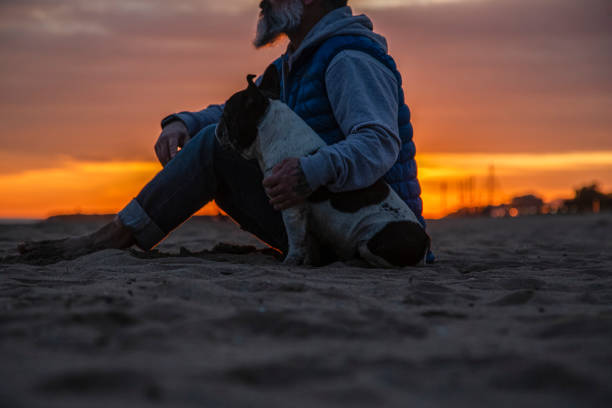 man with dog sitting on beach against sky during sunset