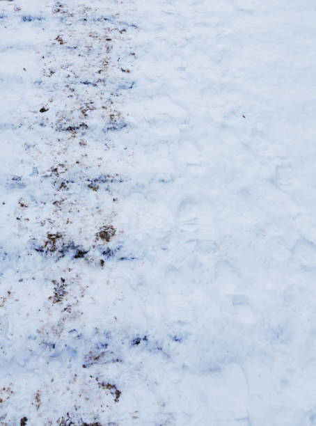 istock Stairs covered in snow and muddy footprints. 1371900894