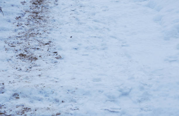 istock Stairs covered in snow with footprints and dirt. 1371900896