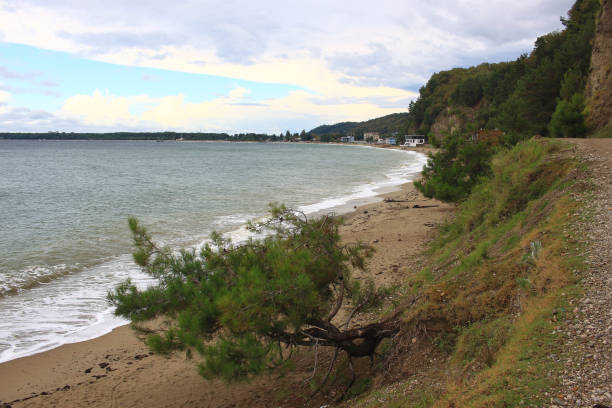 istock Sandy beach in the Pitsunda Bay in Abkhazia 1371908343