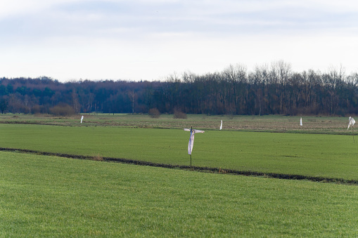 A group of white plastic scarecrows in the middle of a grassy field, pasture, with a background of trees. farmers and gardeners.