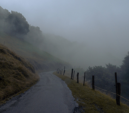 Mountain paved road winding its way through the fog. Among the mist you can make out the shapes of the trees and the slope on which the road is built. On the edge of the street there are wooden posts that mark the path. High quality photo