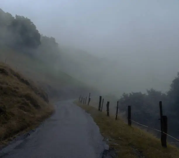 Photo of Mountain paved road winding its way through the fog. Among the mist you can make out the shapes of the trees and the slope on which the road is built. On the edge of the street there are wooden posts that mark the path.
