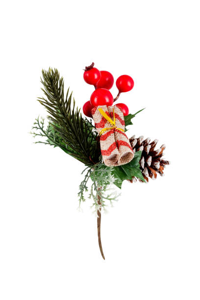 istock Evergreen tree branch with red berries and pine cone, Christmas decor on white background 1371913580
