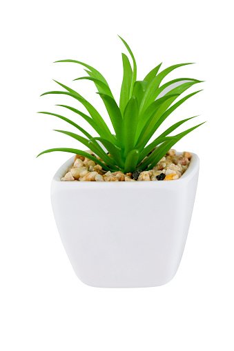 Green colored miniature artificial plant for home decoration in white flower pot, isolated on white background, clipping path, studio shot