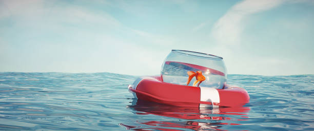 istock Golden fish in a bowl rescued in the ocean. 1371914607