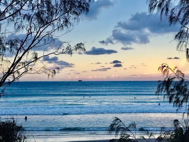 coucher de soleil sur l’océan tropical avec cadre d’arbre - byron bay tree summer sand photos et images de collection