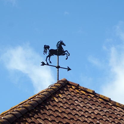 Horse-shaped weather vane on top of a roof with red tiles.