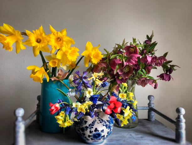 bouquet romantico con narcisi, elleboro, giacinti, primula, muscari e tulipani - hyacinth flower vase daffodil foto e immagini stock