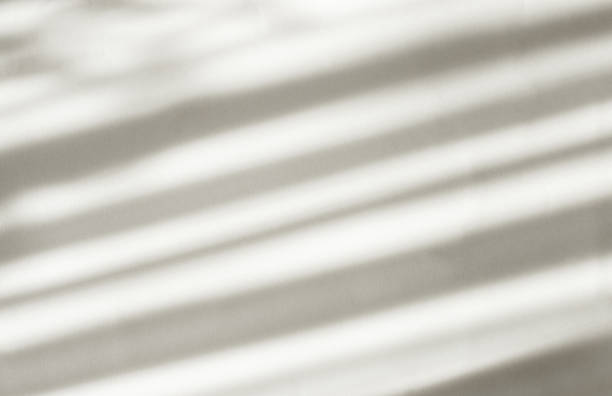 istock Organic shadow on white wall, overlay effect for photos, mockups, posters, stationery, wall art, design presentations. Abstract background. Blurred background. 1371918113
