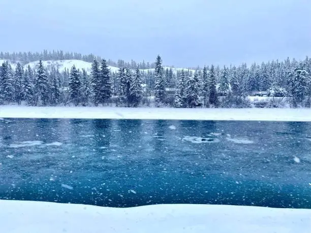 Snowing on a lake - just two steps from Whitehorse town