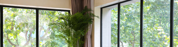 istock Green parasol trees green forest view through clean black frame ceiling to floor window walls 1371918802