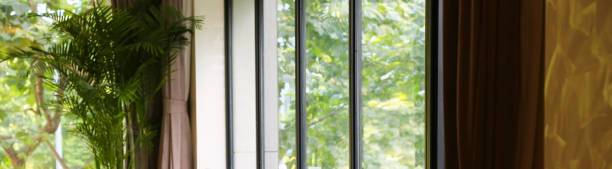 Green parasol trees green forest view through clean black frame ceiling to floor window walls