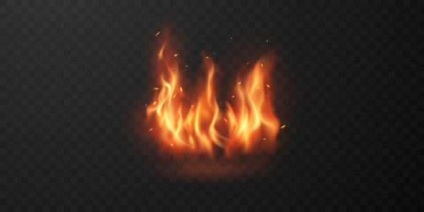 ilustraciones, imágenes clip art, dibujos animados e iconos de stock de fondo de llama sobre un fondo transparente que se puede separar ilustración vectorial - fire