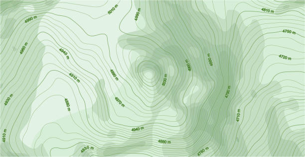 abstrakcyjna mapa topograficzna wektorowa w kolorach zielonych - orienteering stock illustrations