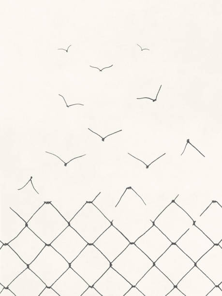 Illustration of freedom surreal abstract concept Illustration of net becoming birds flying in the sky dream believe tattoo stock illustrations