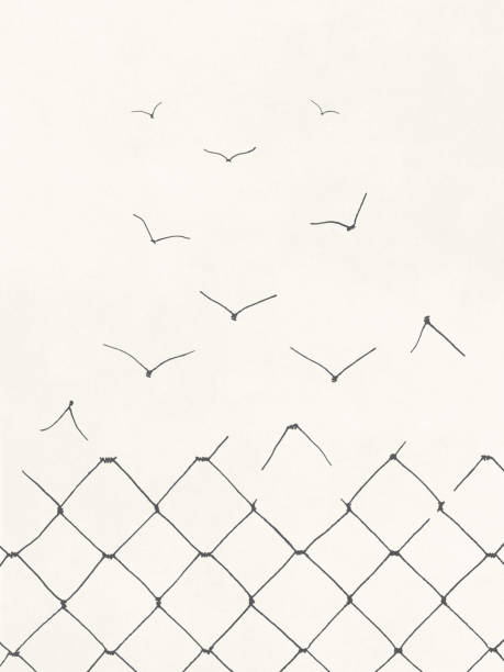 Illustration of freedom surreal abstract concept Illustration of net becoming birds flying in the sky toll free stock illustrations