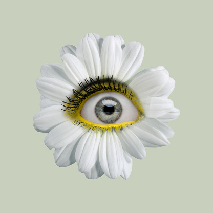 Flor de manzanilla blanca con un ojo en su interior sobre fondo claro. Diseño moderno. Arte contemporáneo. Collage creativo. Belleza, arte, visión, moda photo