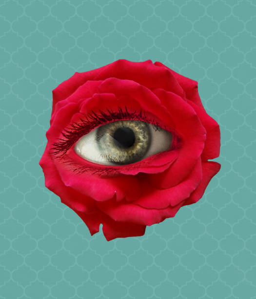 czerwony kwiat róży z okiem w środku na niebieskim tle. nowoczesny design. sztuka współczesna. kreatywny konceptualny i kolorowy kolaż. piękno, sztuka, wizja - human eye color image multi colored eyesight zdjęcia i obrazy z banku zdjęć