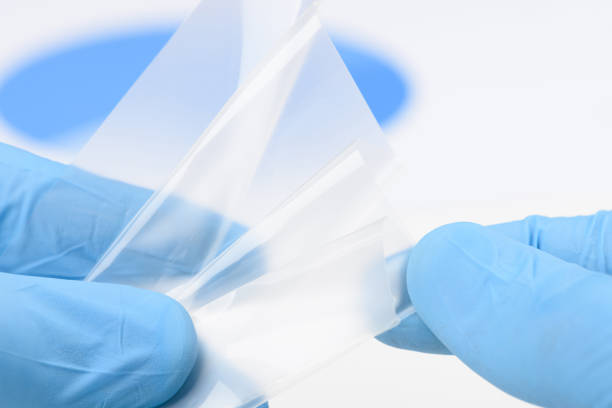 istock Scientist hold and bend flexible transparent thin film material in laboratory 1371923786