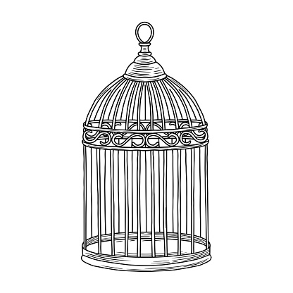 Hand drawn vintage bird cage illustration isolated on white background. Vector