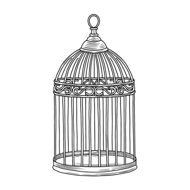 birdcage - 鳥籠 插圖 幅插畫檔、美工圖案、卡通及圖標
