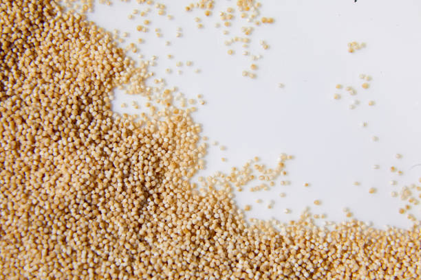 istock Flat lay macro natural dried amaranth seeds, top view 1371925090